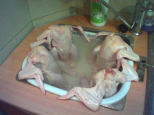 chickenJacuzzi.jpg